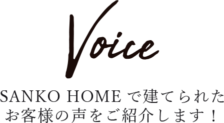 voice